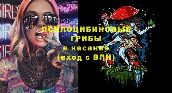 spice Лагань
