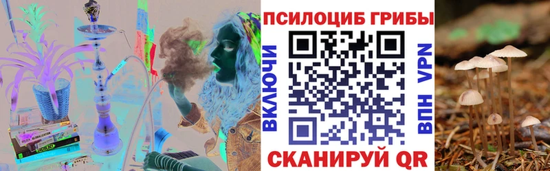 купить наркотики сайты  Яхрома  Галлюциногенные грибы мухоморы 